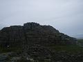 Rhinnogs 015